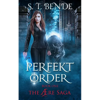Perfekt Order - Paperback