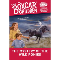The Mystery of the Wild Ponies - Paperback