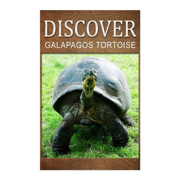 Galapagos Tortoise - Discover: Early reader's wildlife photography book - Paperback