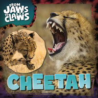 Cheetah - Paperback