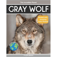 Gray Wolf: Fascinating Animal Facts for Kids - Paperback