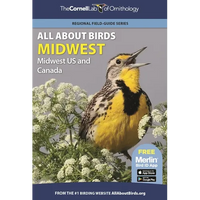 All about Birds Midwest: Midwest Us and Canada - Paperback