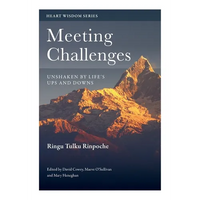 Meeting Challenges: Unshaken by Life's Ups and Downs - Paperback