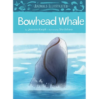 Animals Illustrated: Bowhead Whale - Hardcover