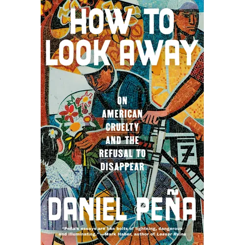 How to Look Away: On American Cruelty and the Refusal to Disappear
