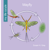 Mayfly - Library Binding
