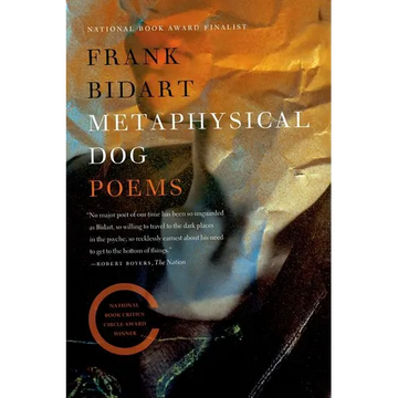 Metaphysical Dog - Paperback