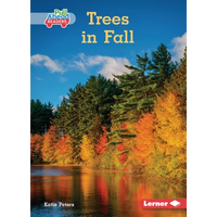 Trees in Fall - Paperback