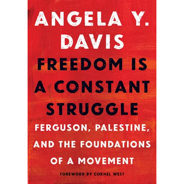 Freedom Is a Constant Struggle: Ferguson, Palestine, and the Foundations of a Movement - Paperback