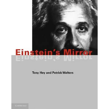 Einstein's Mirror - Paperback