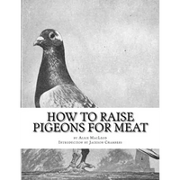 How To Raise Pigeons For Meat: Raising Pigeons for Squabs Book 10 - Paperback