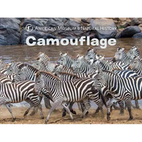 Camouflage - Board Book