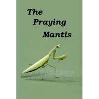 The Praying Mantis: All about being a Praying Mantis. - Paperback
