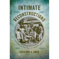 Intimate Reconstructions: Children in Postemancipation Virginia - Hardcover