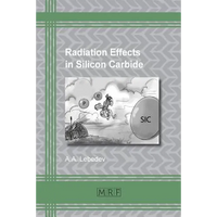 Radiation Effects in Silicon Carbide - Paperback