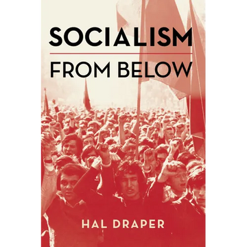 Socialism from Below - Paperback