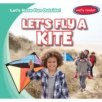 Let's Fly a Kite - Library Binding