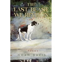 The Last Beast We Revel in - Paperback