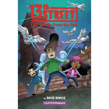 13th Street #6: Fight with the Freeze-Ray Fowls - Paperback