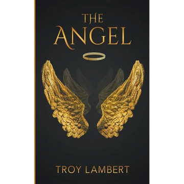 The Angel - Paperback
