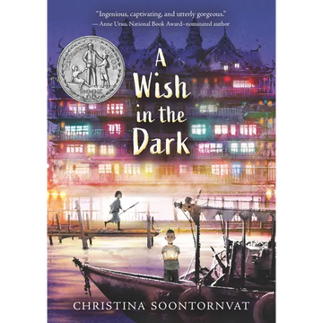 A Wish in the Dark - Paperback
