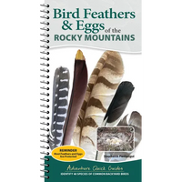 Bird Feathers & Eggs of the Rocky Mountains: Identify 40 Species of Common Backyard Birds - Spiral