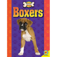 Boxers - Paperback