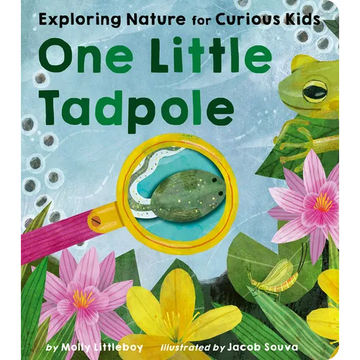 One Little Tadpole: Exploring Nature for Curious Kids - Board Book