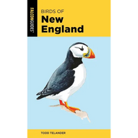 Birds of New England - Paperback