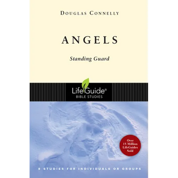Angels: Standing Guard - Paperback