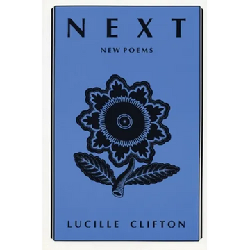 Next: New Poems - Paperback