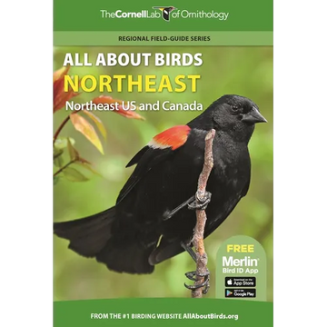 All about Birds Northeast: Northeast Us and Canada - Paperback