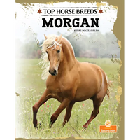 Morgan - Paperback
