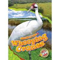 Whooping Cranes - Library Binding
