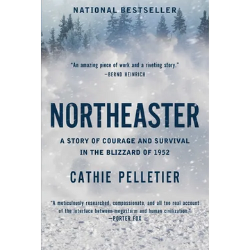 Northeaster: A Story of Courage and Survival in the Blizzard of 1952 - Paperback
