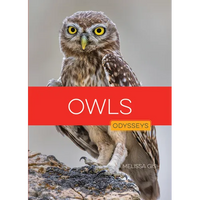 Owls - Paperback