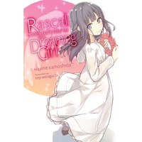 Rascal Does Not Dream of a Dreaming Girl (Light Novel) - Paperback