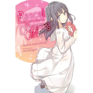 Rascal Does Not Dream of a Dreaming Girl (Light Novel) - Paperback