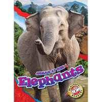Elephants - Library Binding
