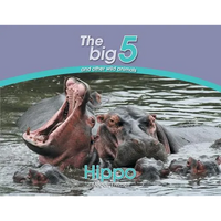 Hippo: The Big 5 and other wild animals - Paperback