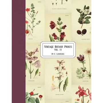 Vintage Botany Prints: Vol. 11 - Paperback
