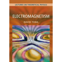 Electromagnetism: Volume 2: Lectures on Theoretical Physics - Paperback