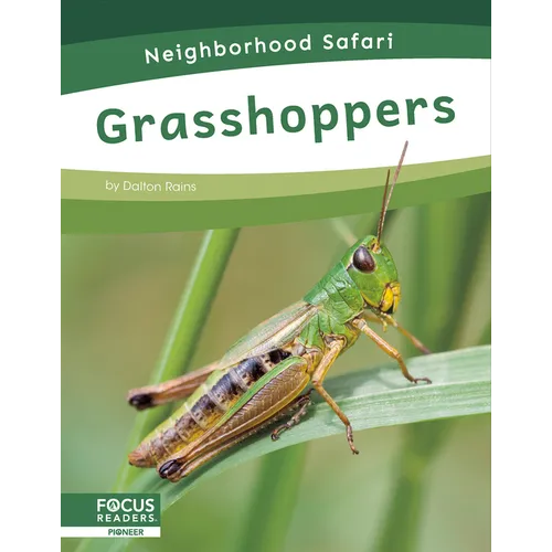 Grasshoppers