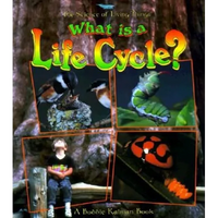 What Is a Life Cycle? - Paperback