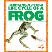 Life Cycle of a Frog - Paperback
