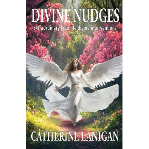 Divine Nudges