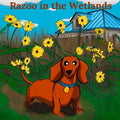 Razoo in the Wetlands
