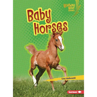 Baby Horses - Paperback