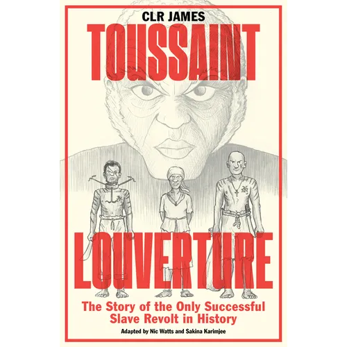 Toussaint Louverture: The Story of the Only Successful Slave Revolt in History