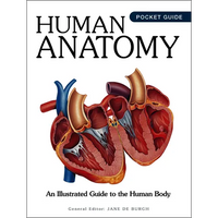 Human Anatomy: An Illustrated Guide to the Human Body - Paperback